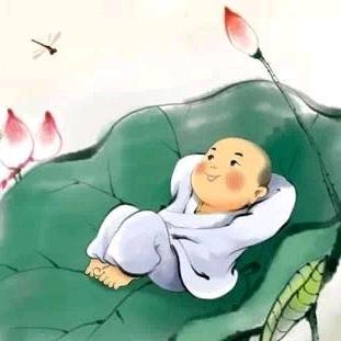 记忆点-林