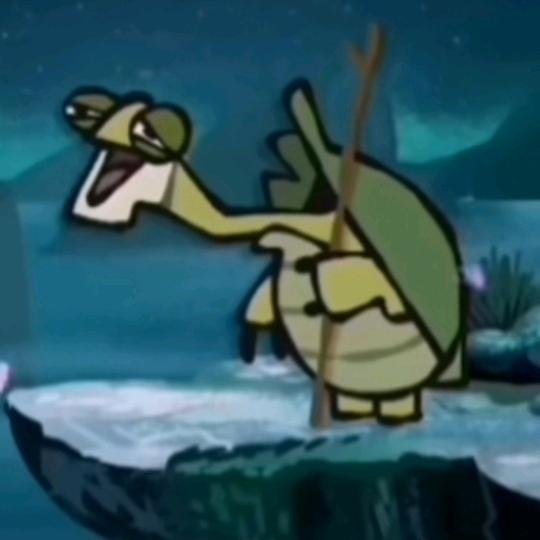 爱养龟的熊无瑕