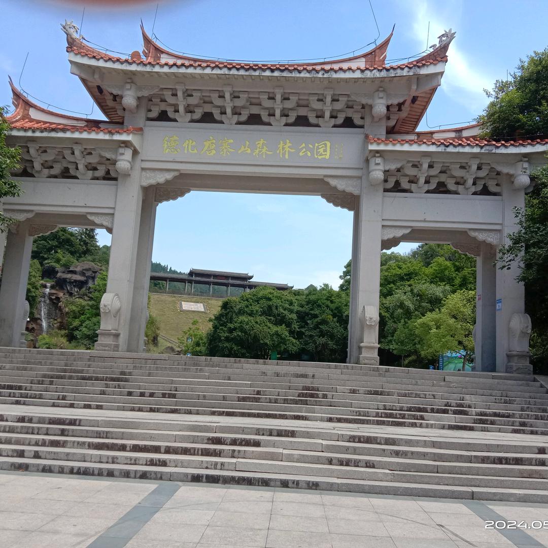 五十四