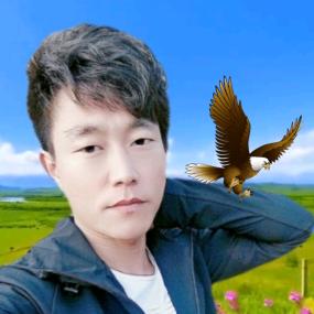 @鹏飞