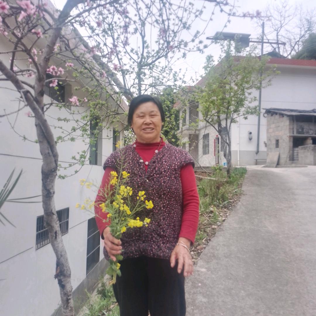梅花