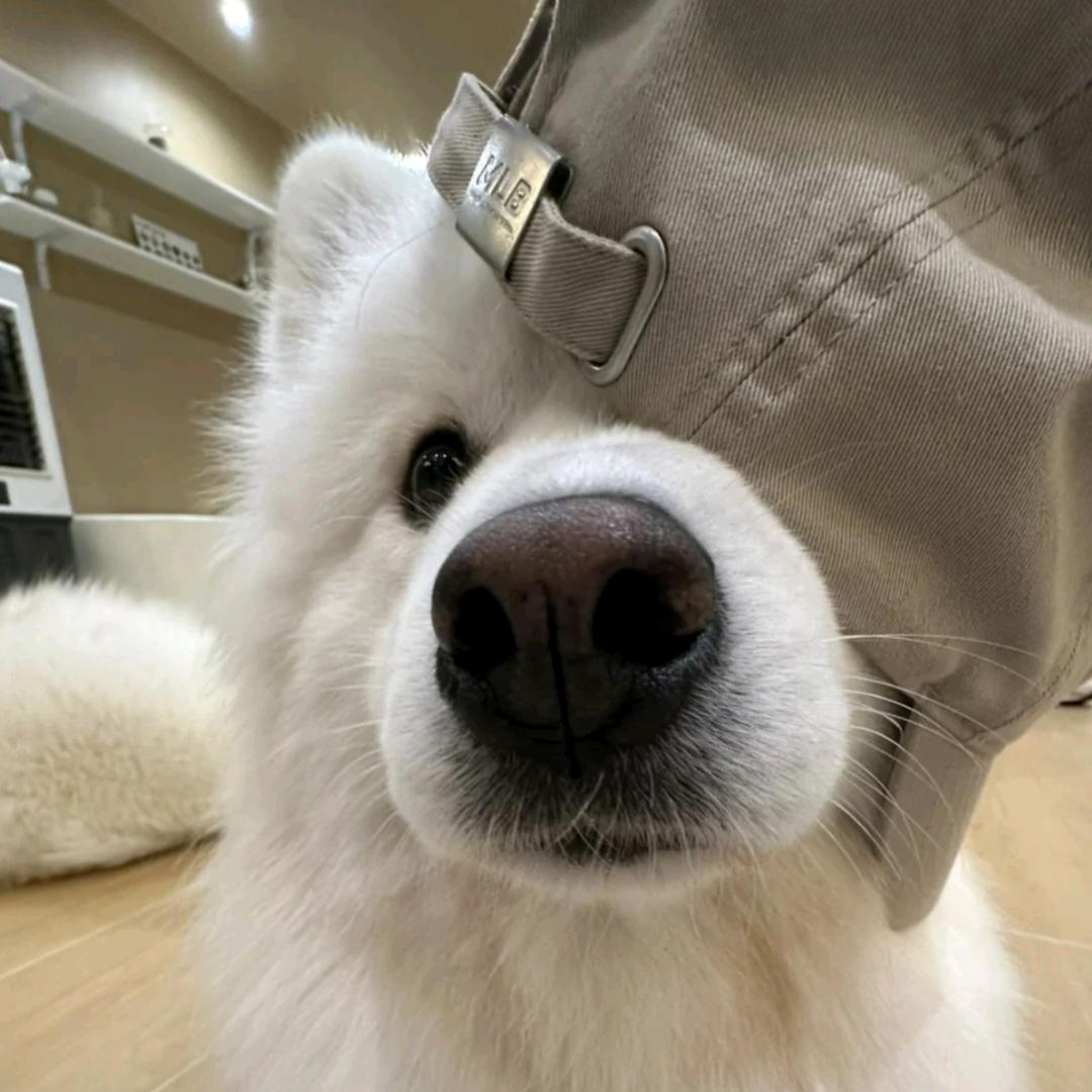 omgggg