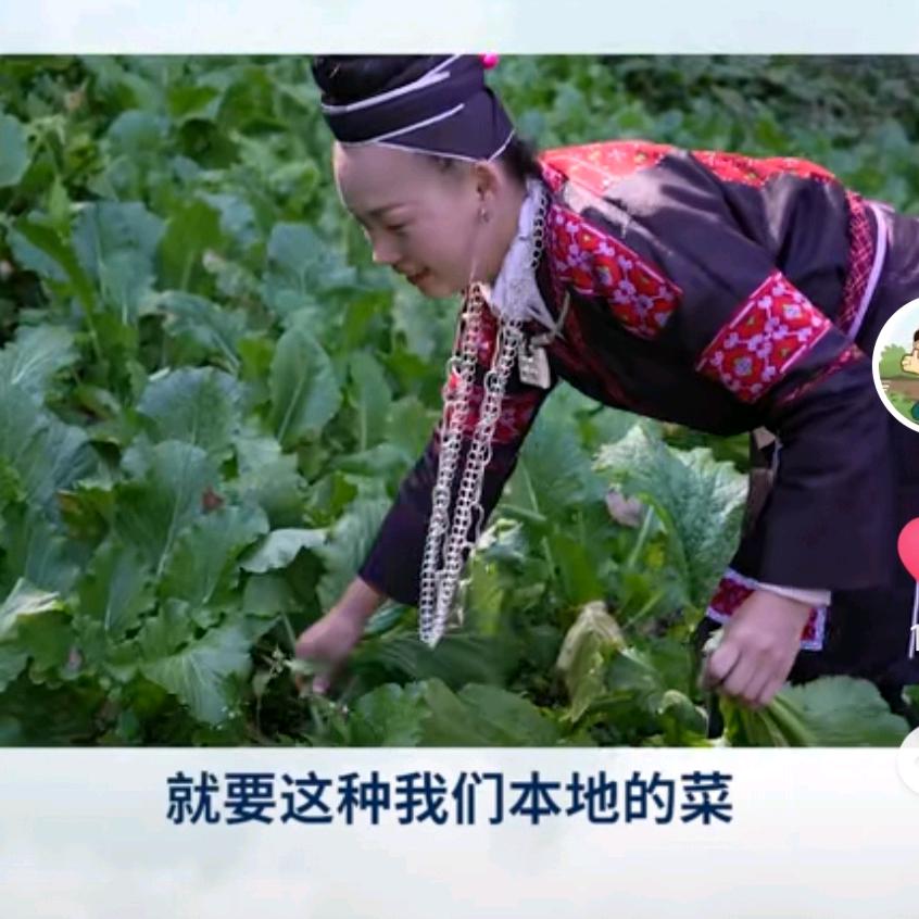 ZSZ朱砂痣