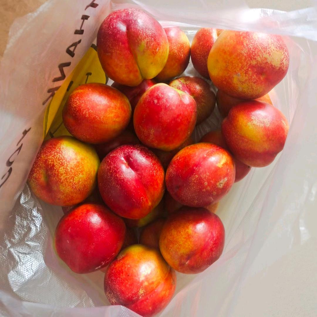 丽丽妈妈果园（道口）