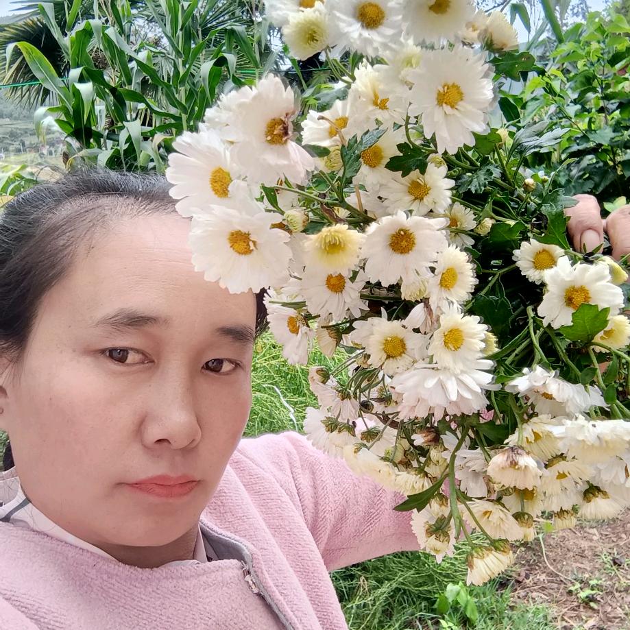 山药妹