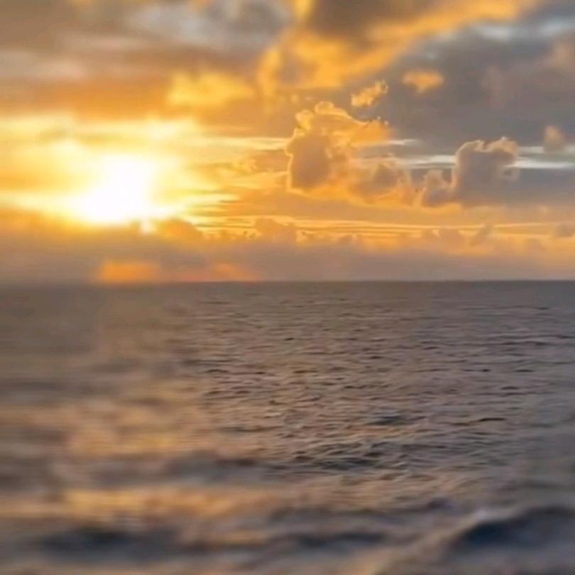 熊猫很忙超市(棠下店)暖阳向阳直播号