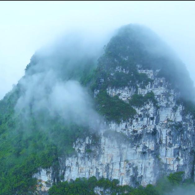 葫芦鹰天山专卖店