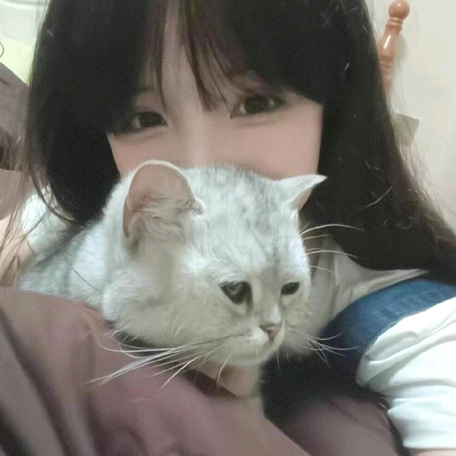 伤心小狗.