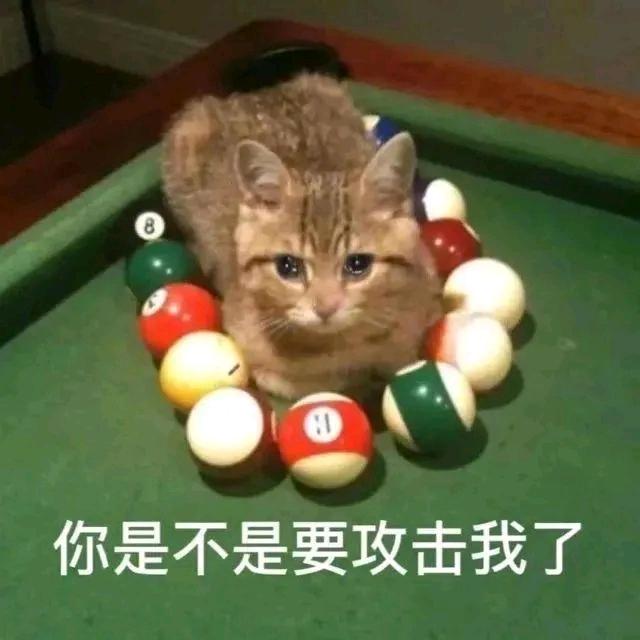 荼↗