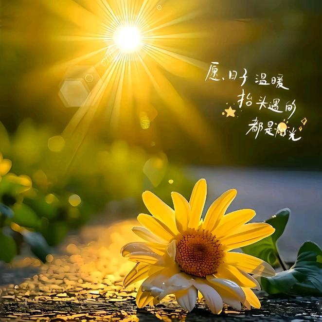 雨后阳光