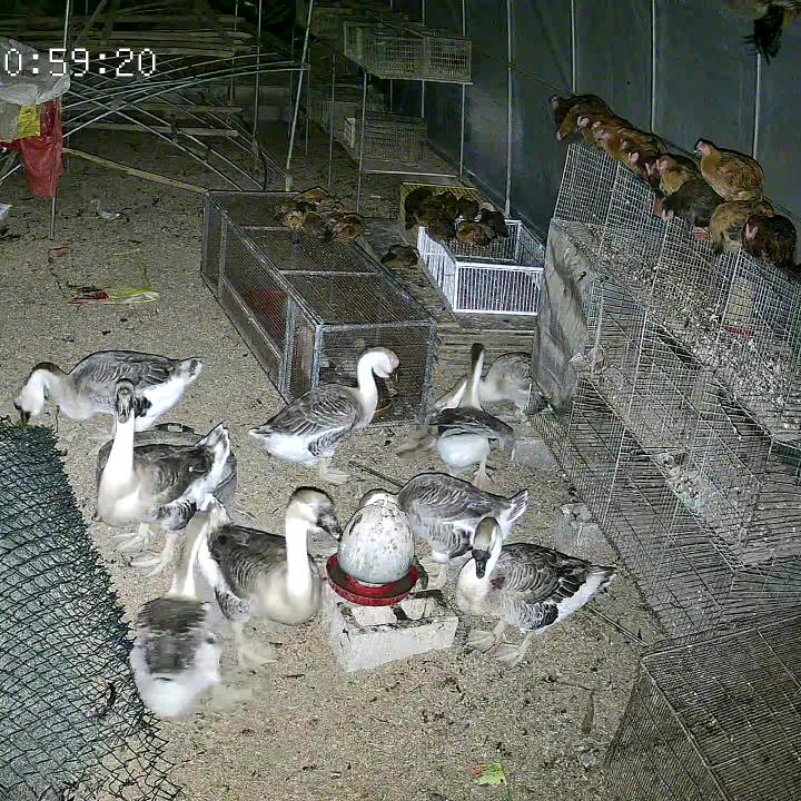 随心所欲