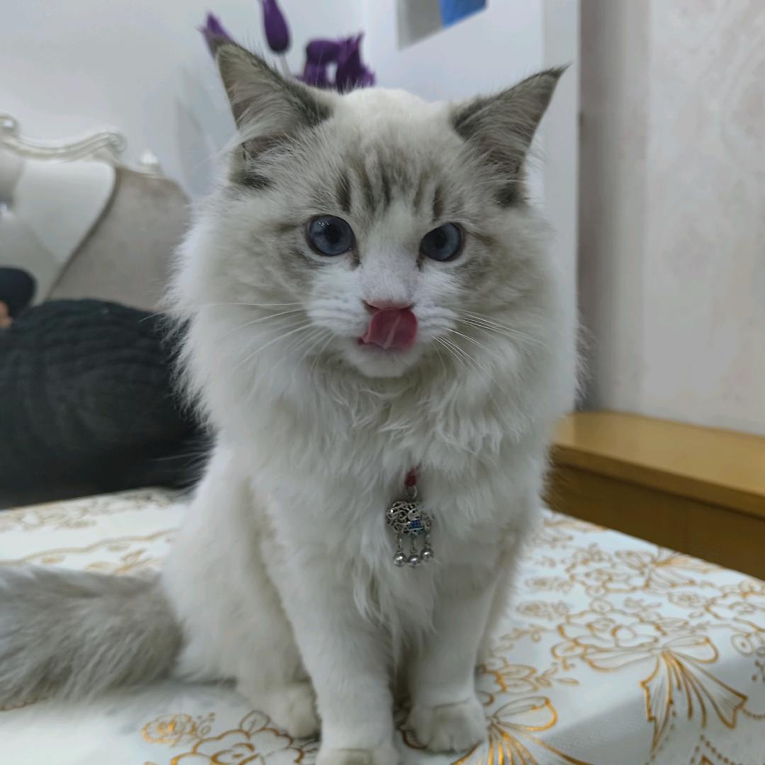 钱程似锦