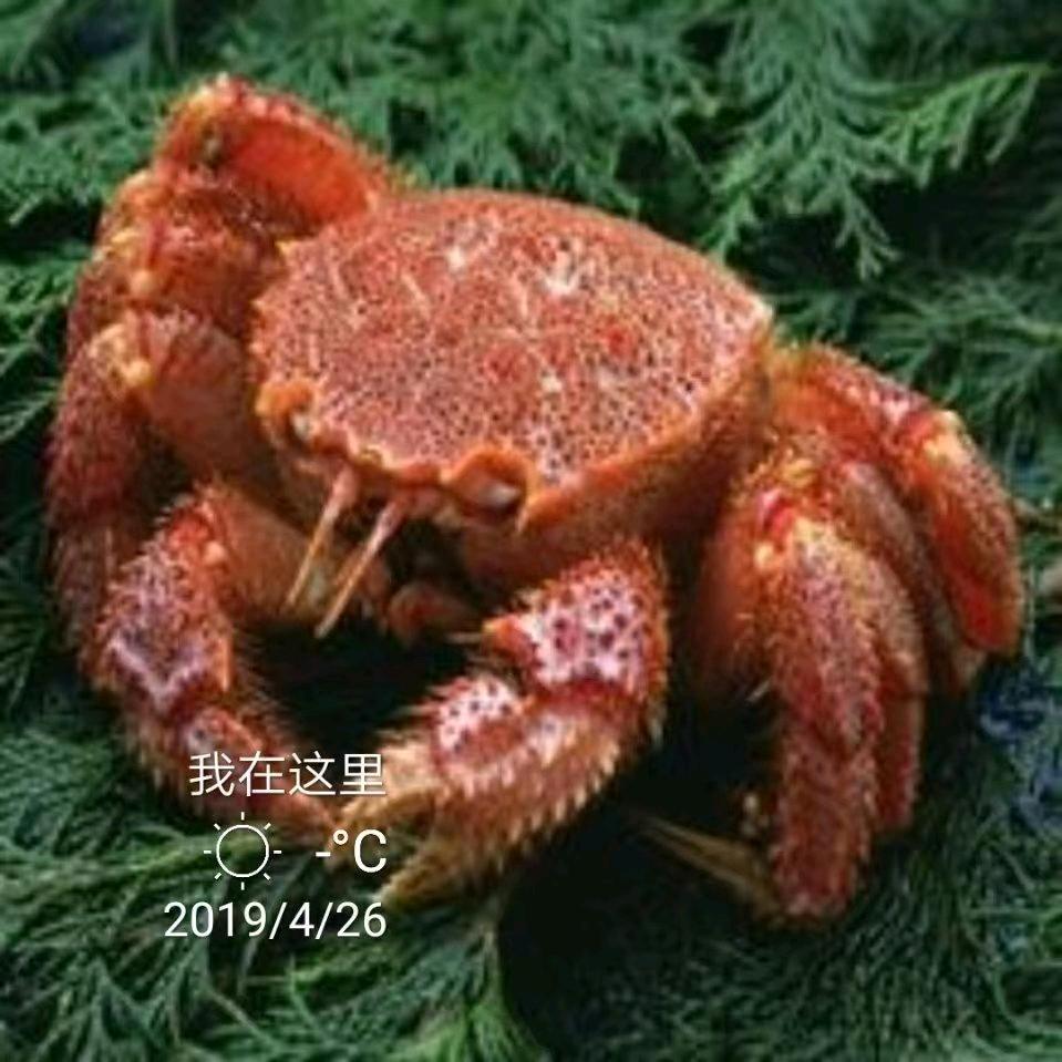 老熟人海鲜小时达优选