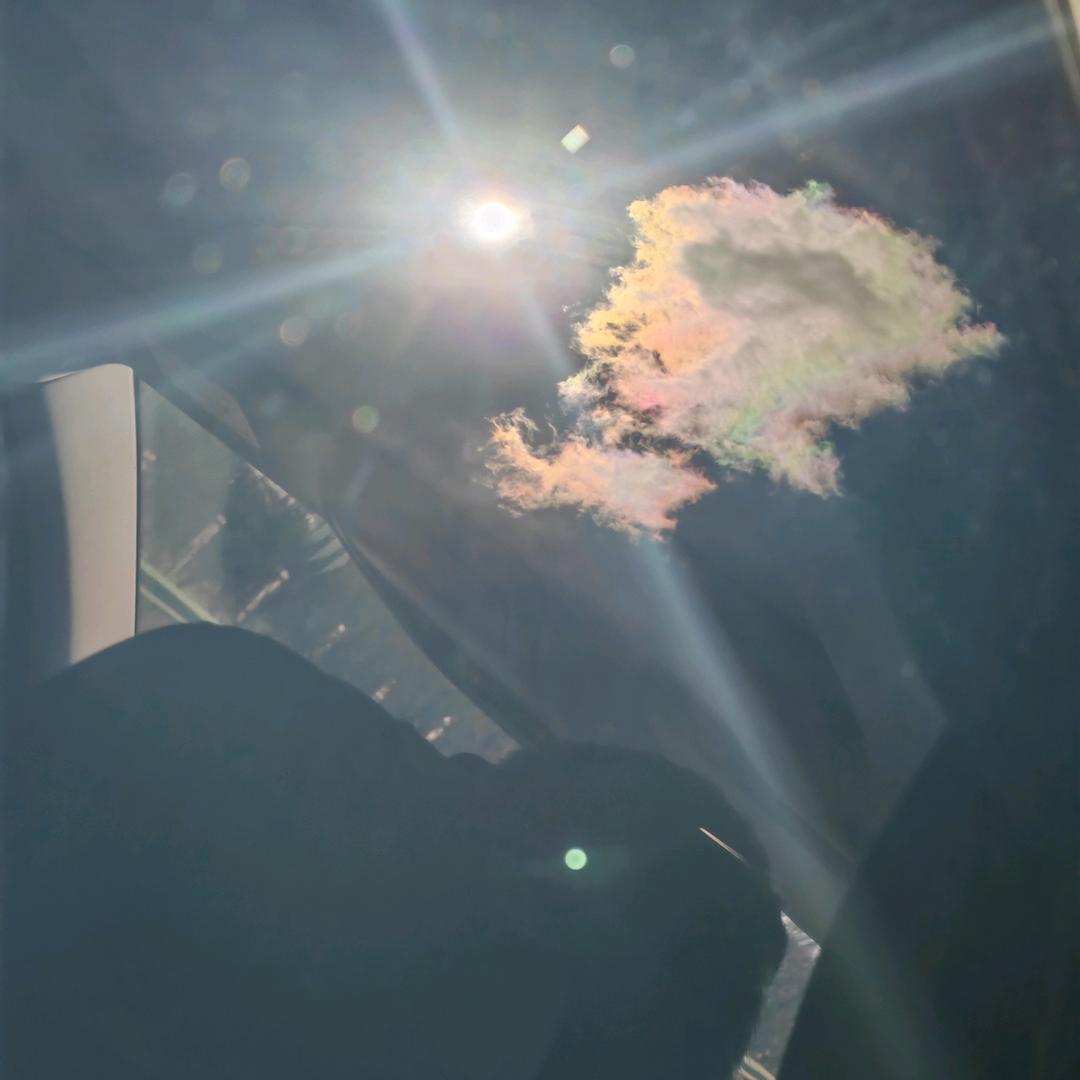 楠楠99