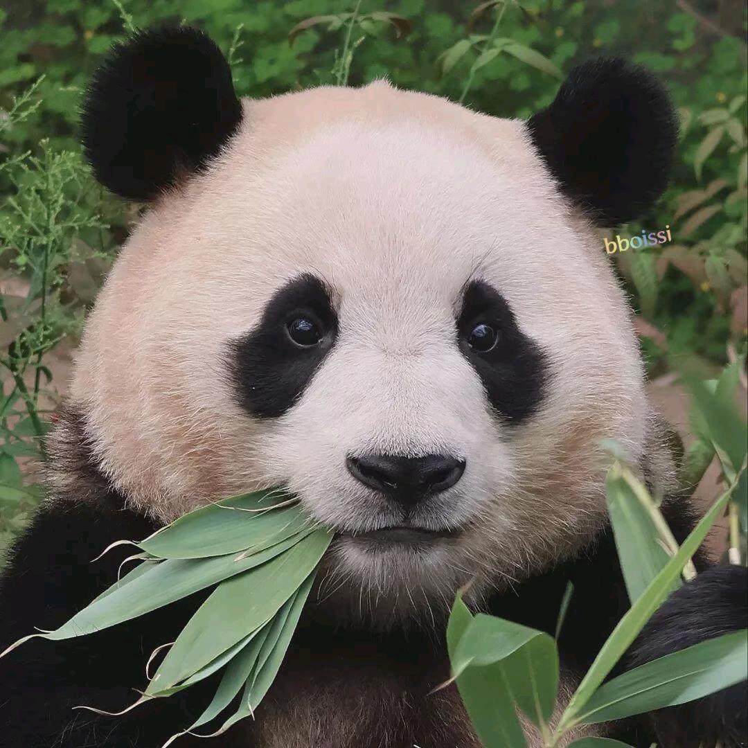 我不打鱼