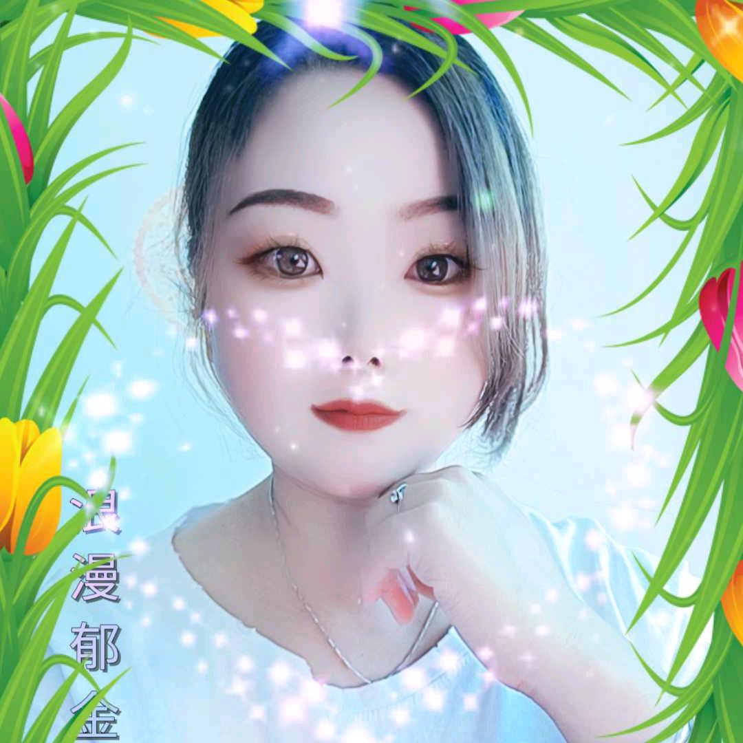 环环（拒绝连赞）