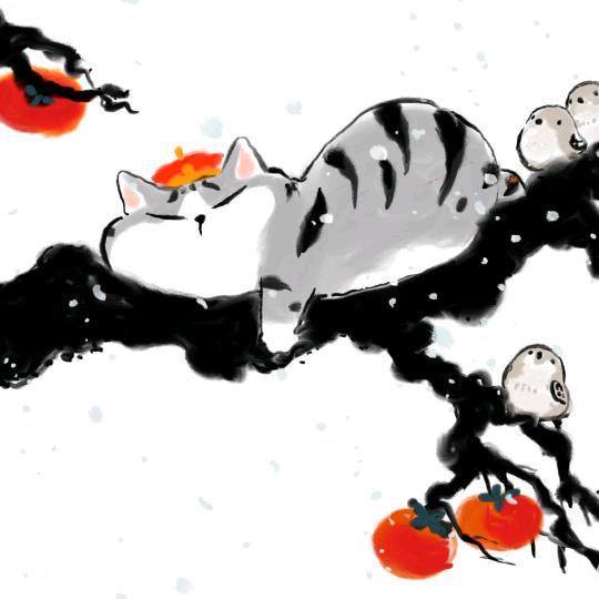 淘小淘