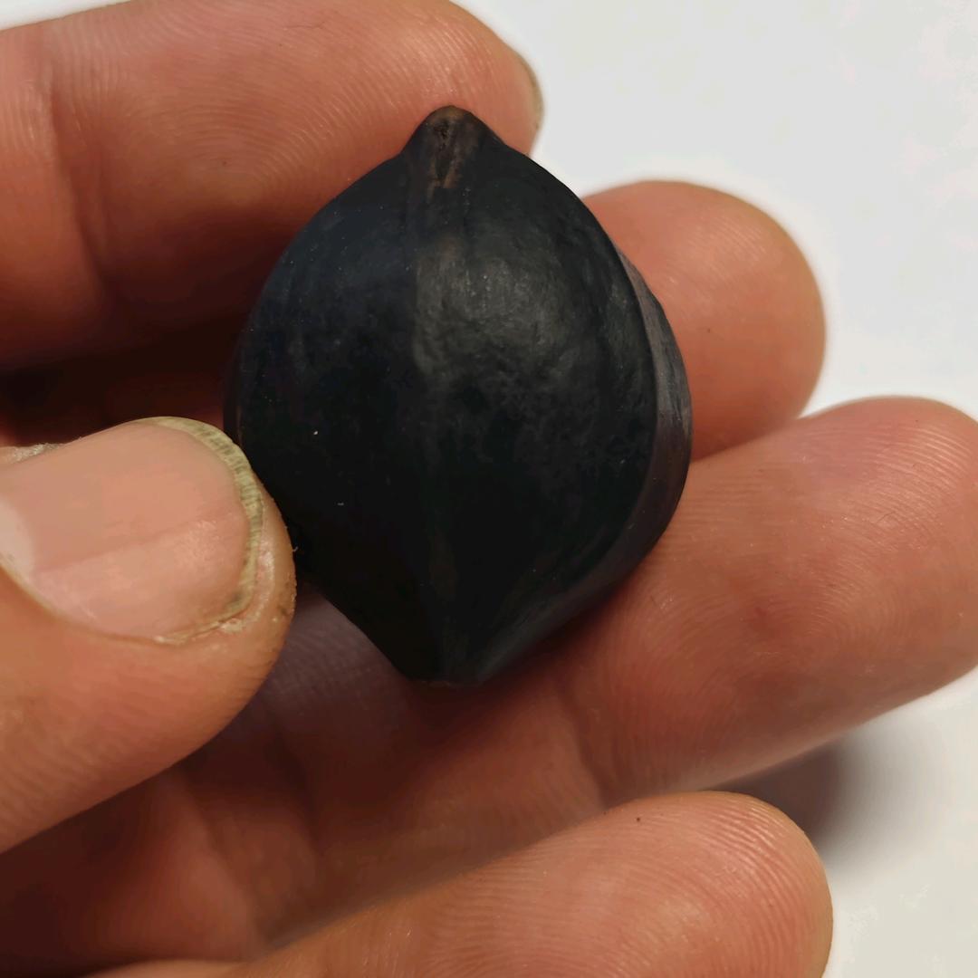 巫大郎玩橄榄核