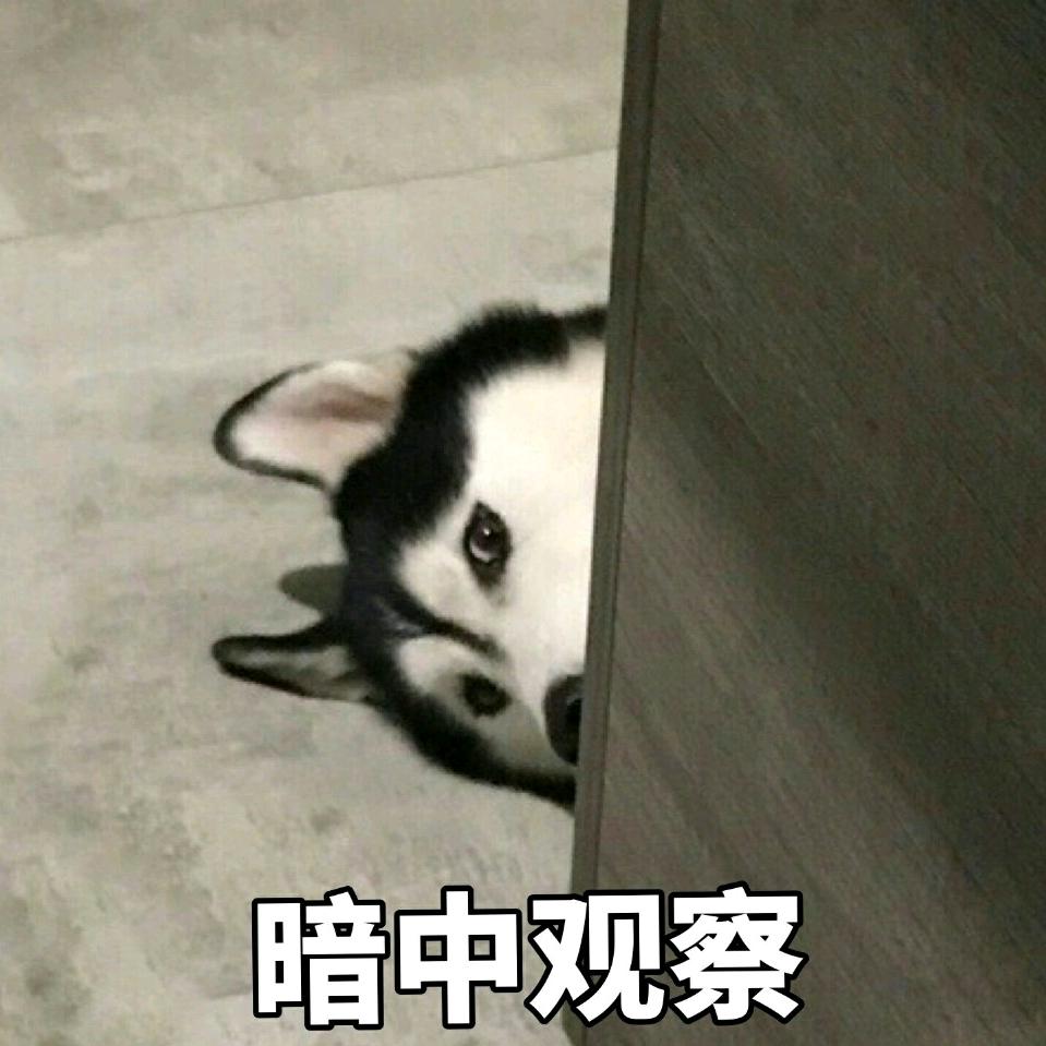 A呀，摔倒了