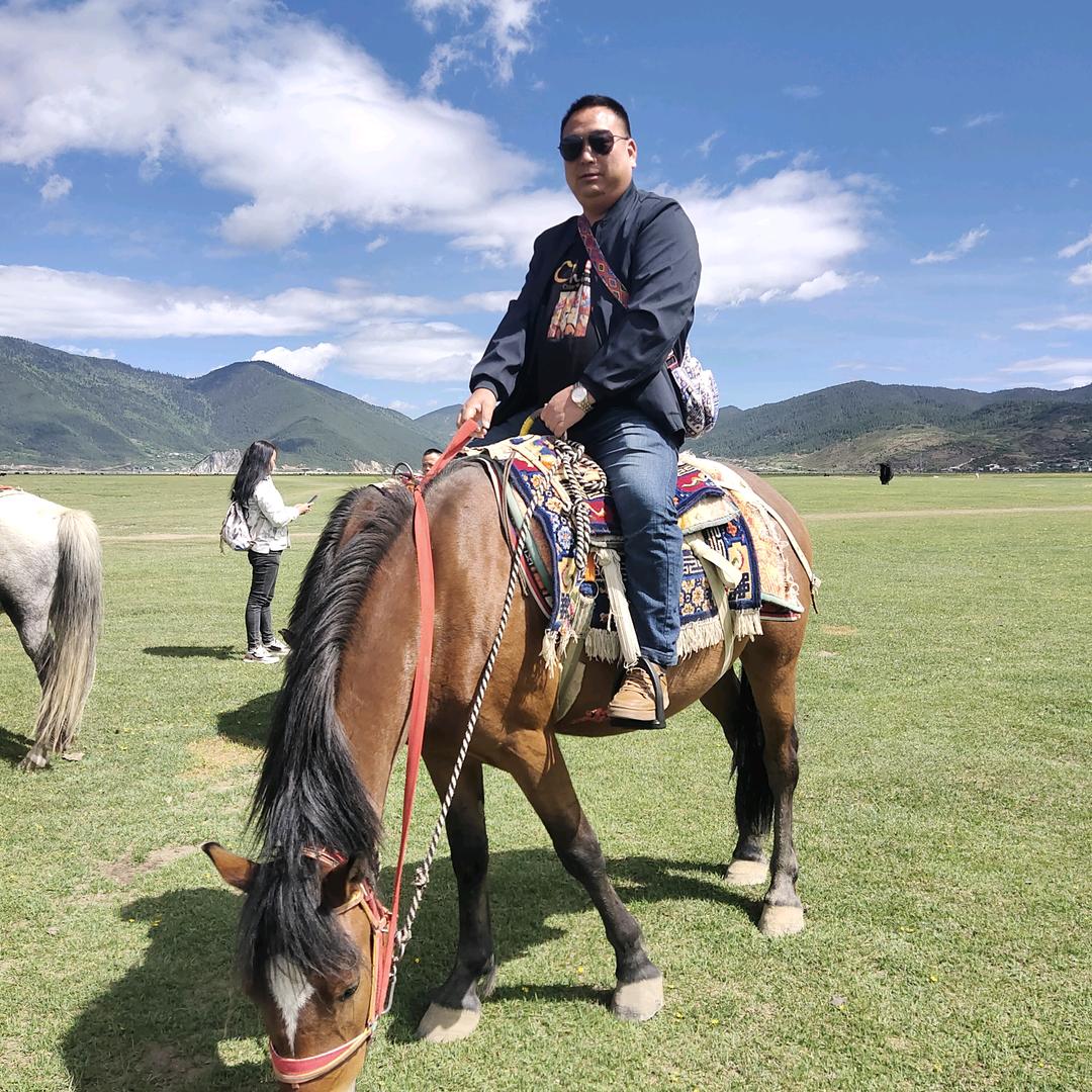 幸福总是太突然