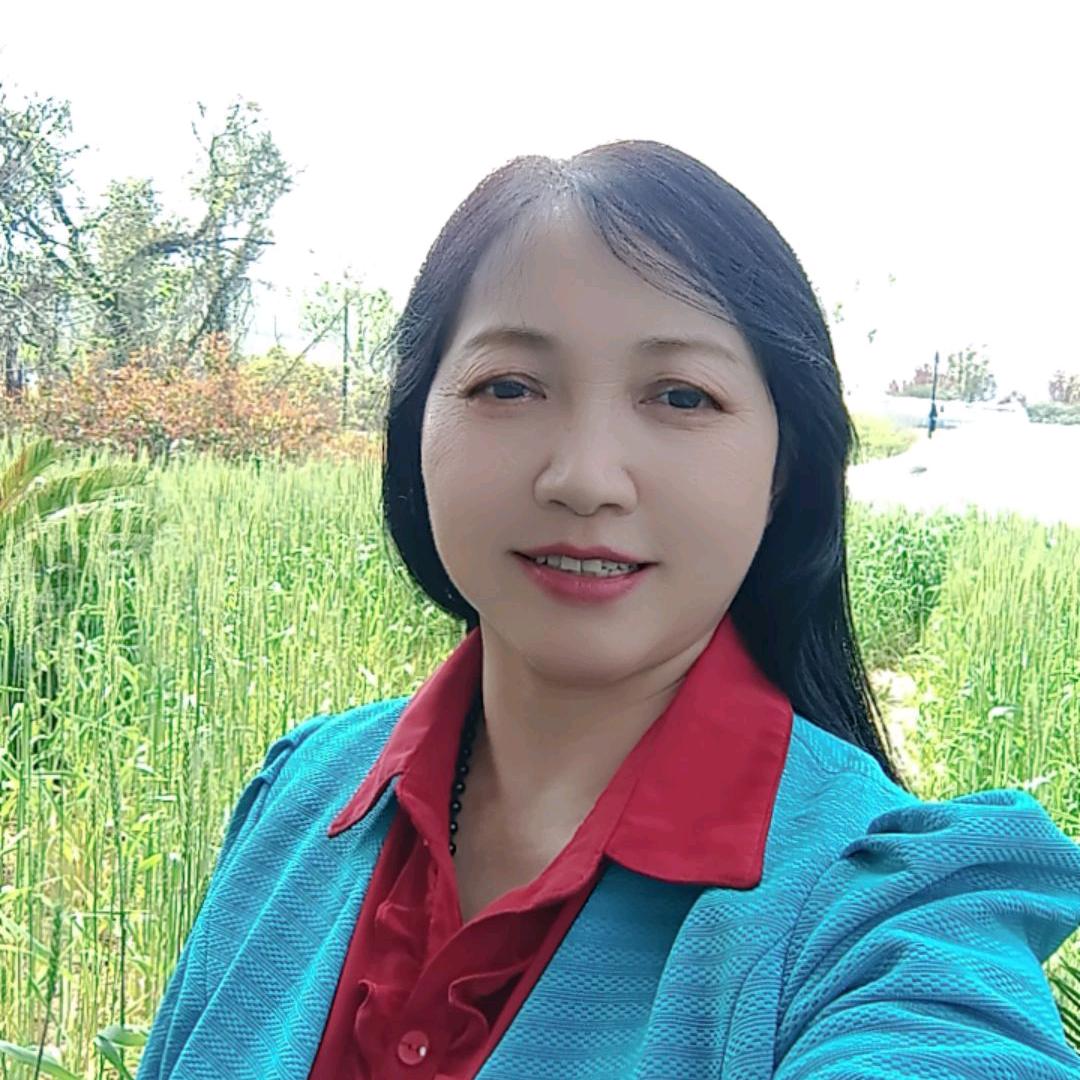 金菊