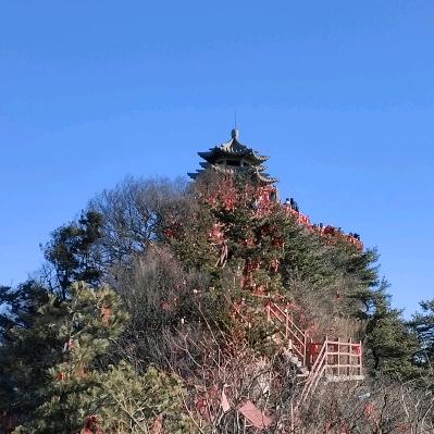 幸福人生