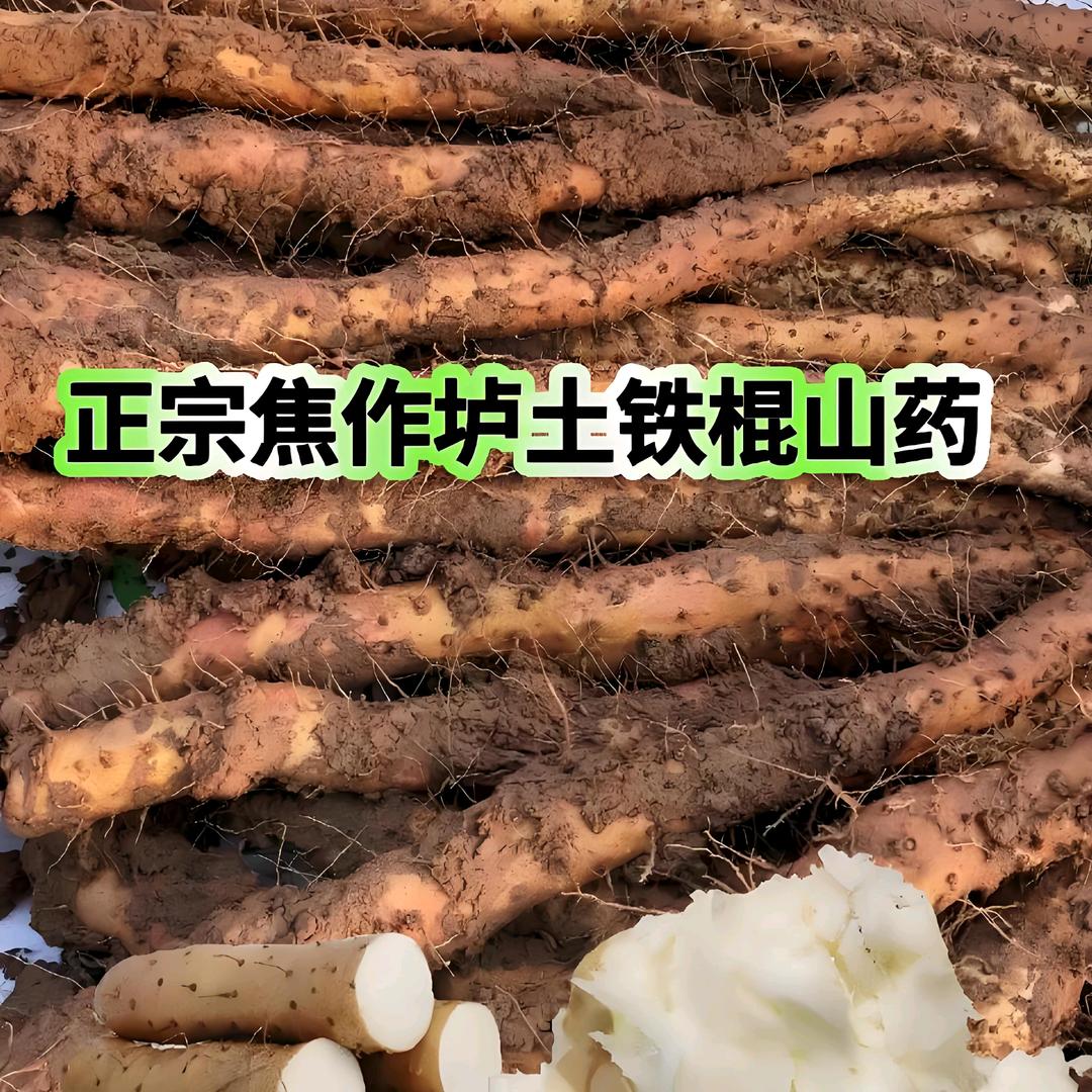 温县怀大哥铁棍山药