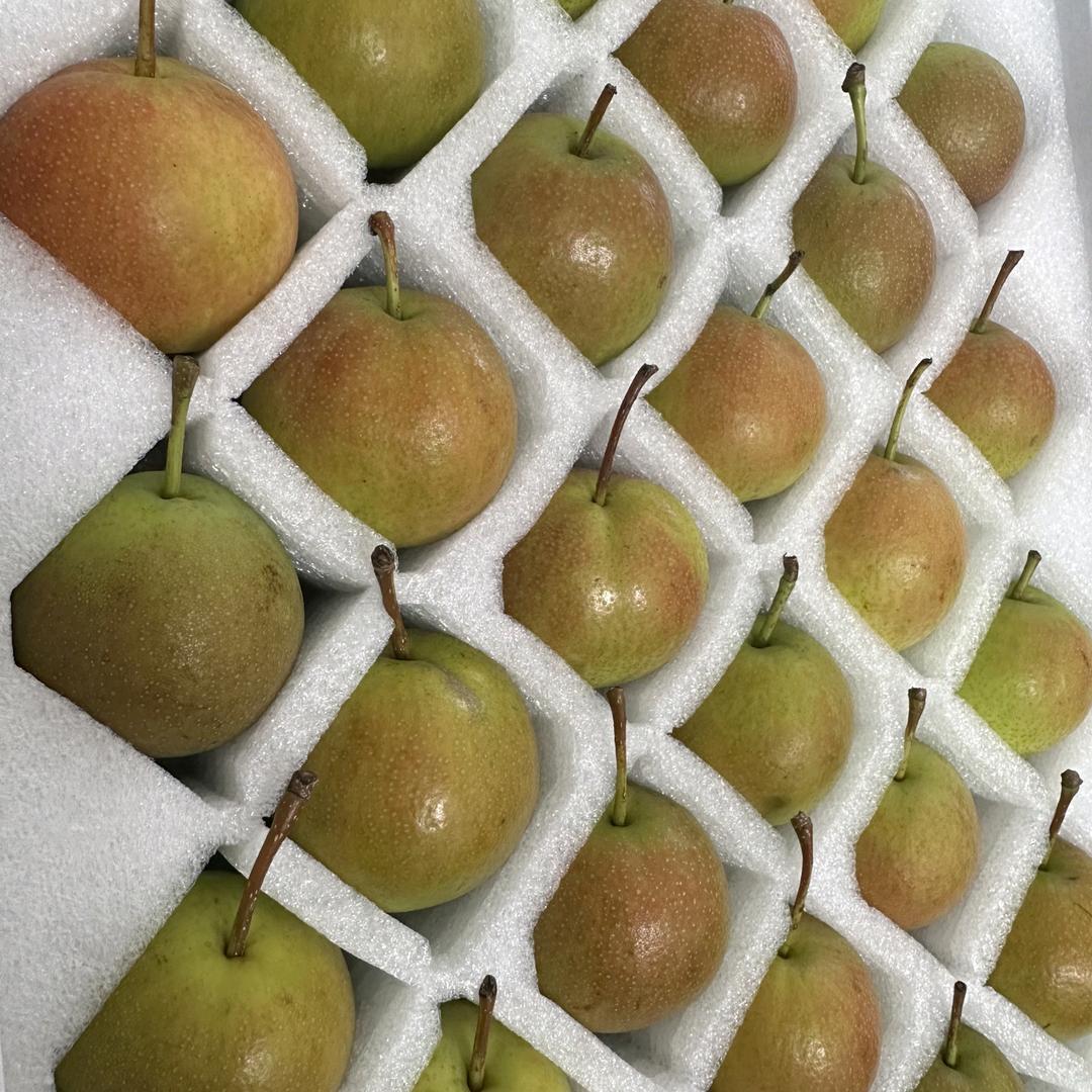 蓝鲸农业