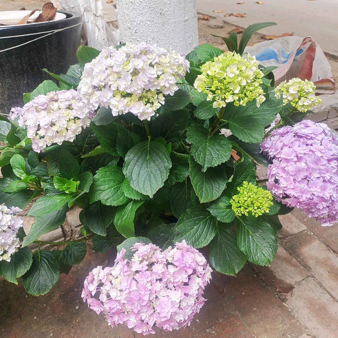 回不去的童年，留不住的青春