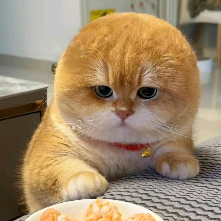 疼疼的小奶狗