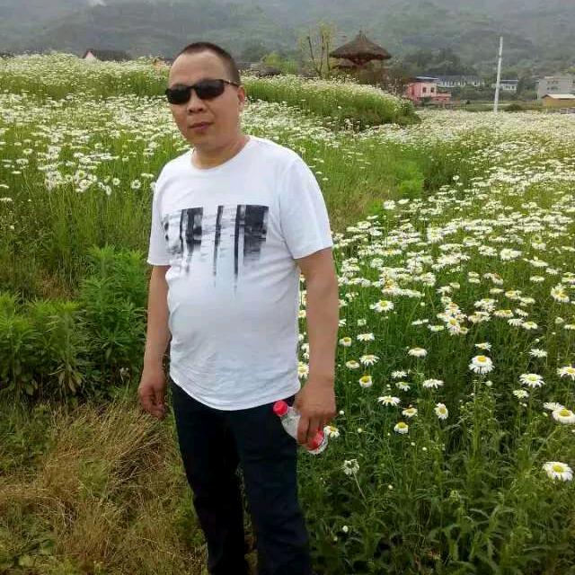 毛子
