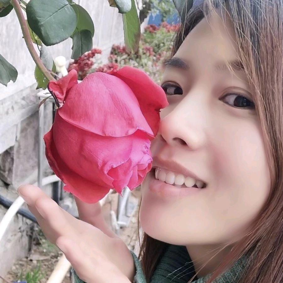 家电   京东姐