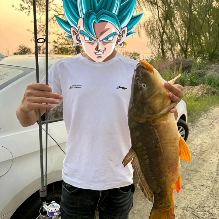 ，