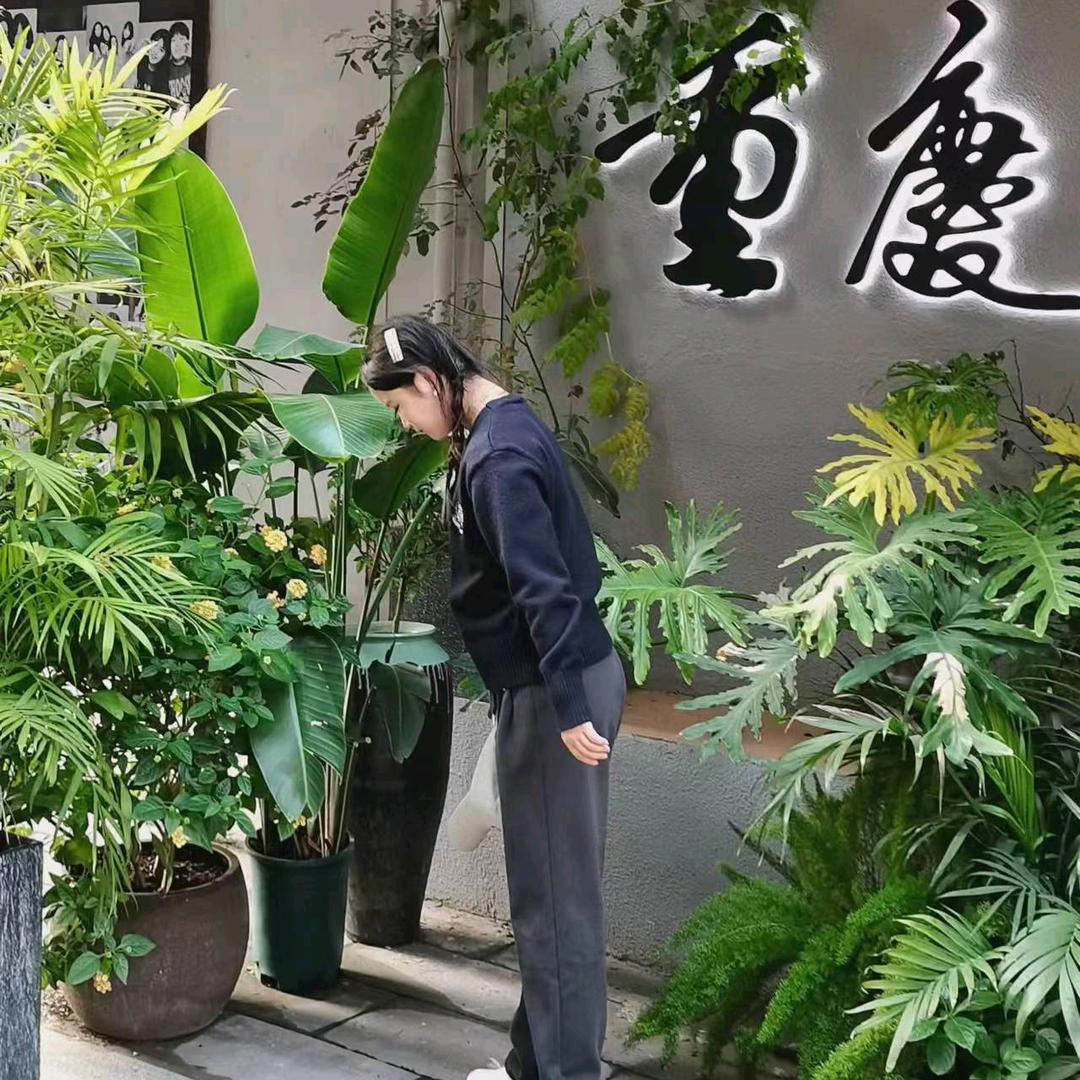 似曾相识