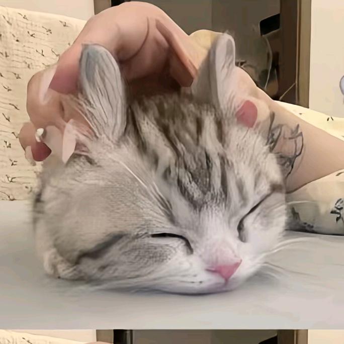 此时此刻的我
