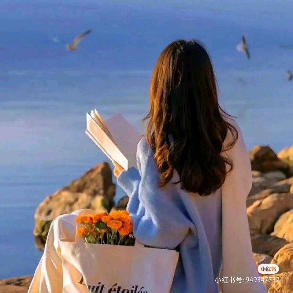 楠姐