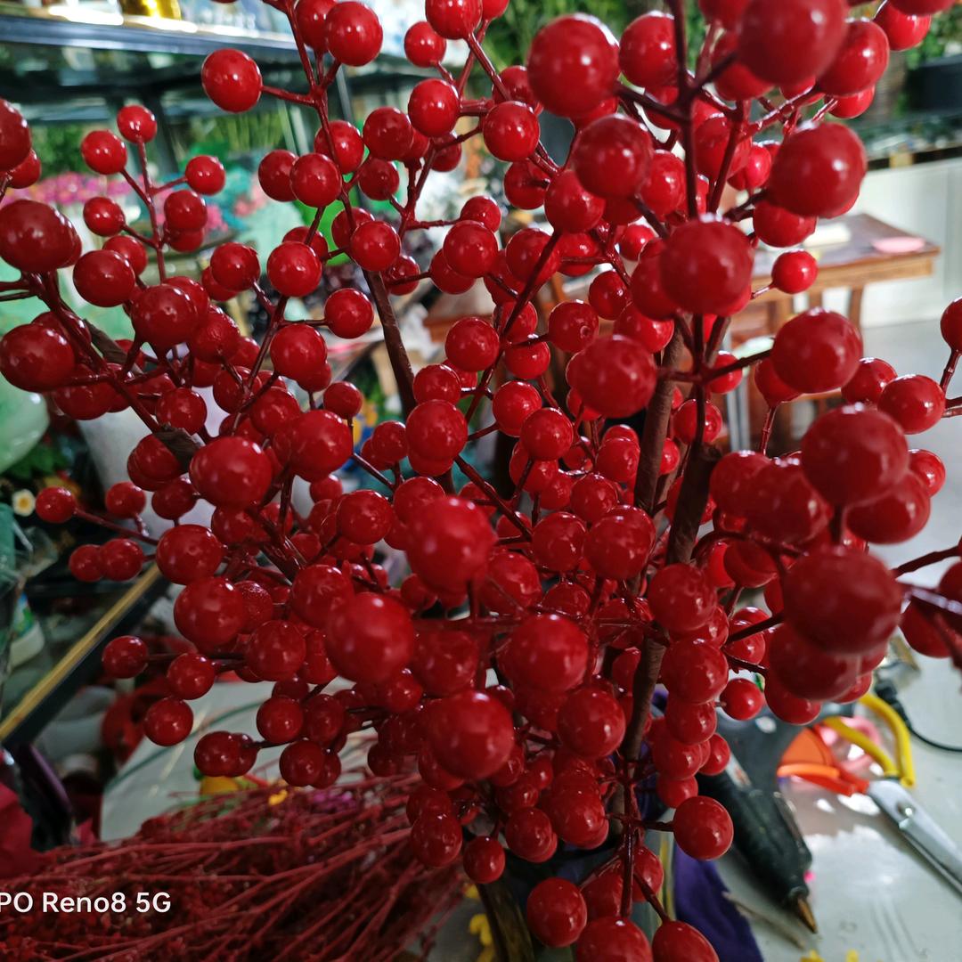 守候的温柔🌹🌹