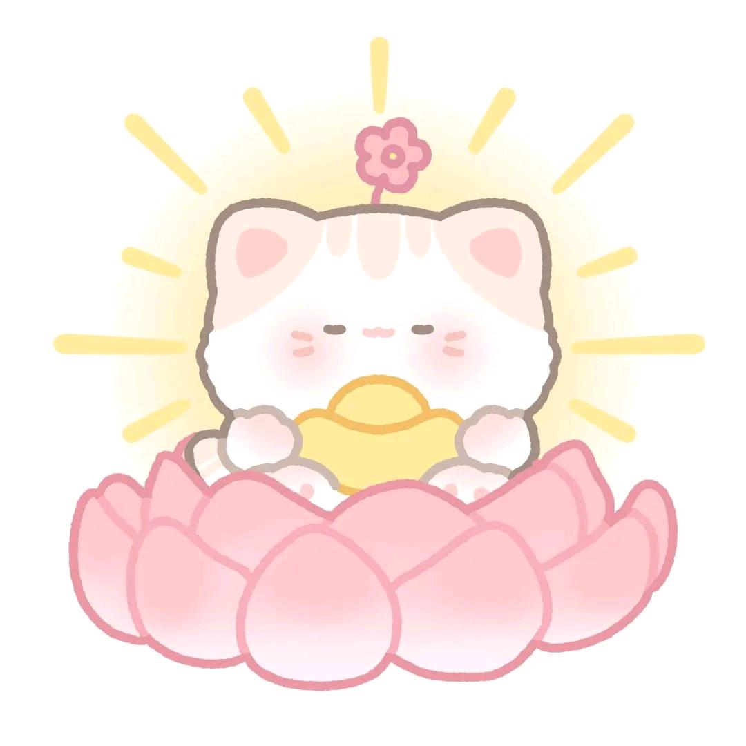 不爱
