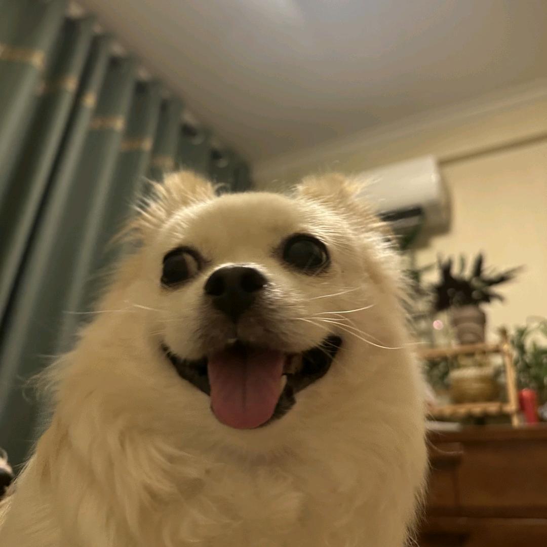 胖头虾