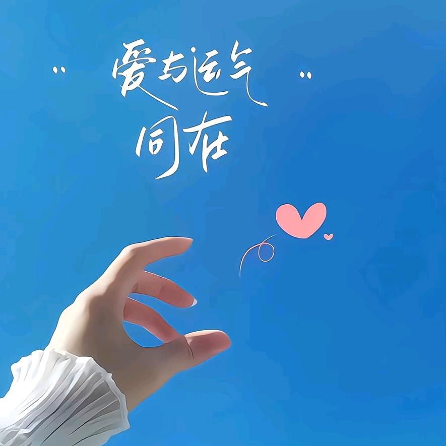 阳阳😏(佛系王者9点左右)