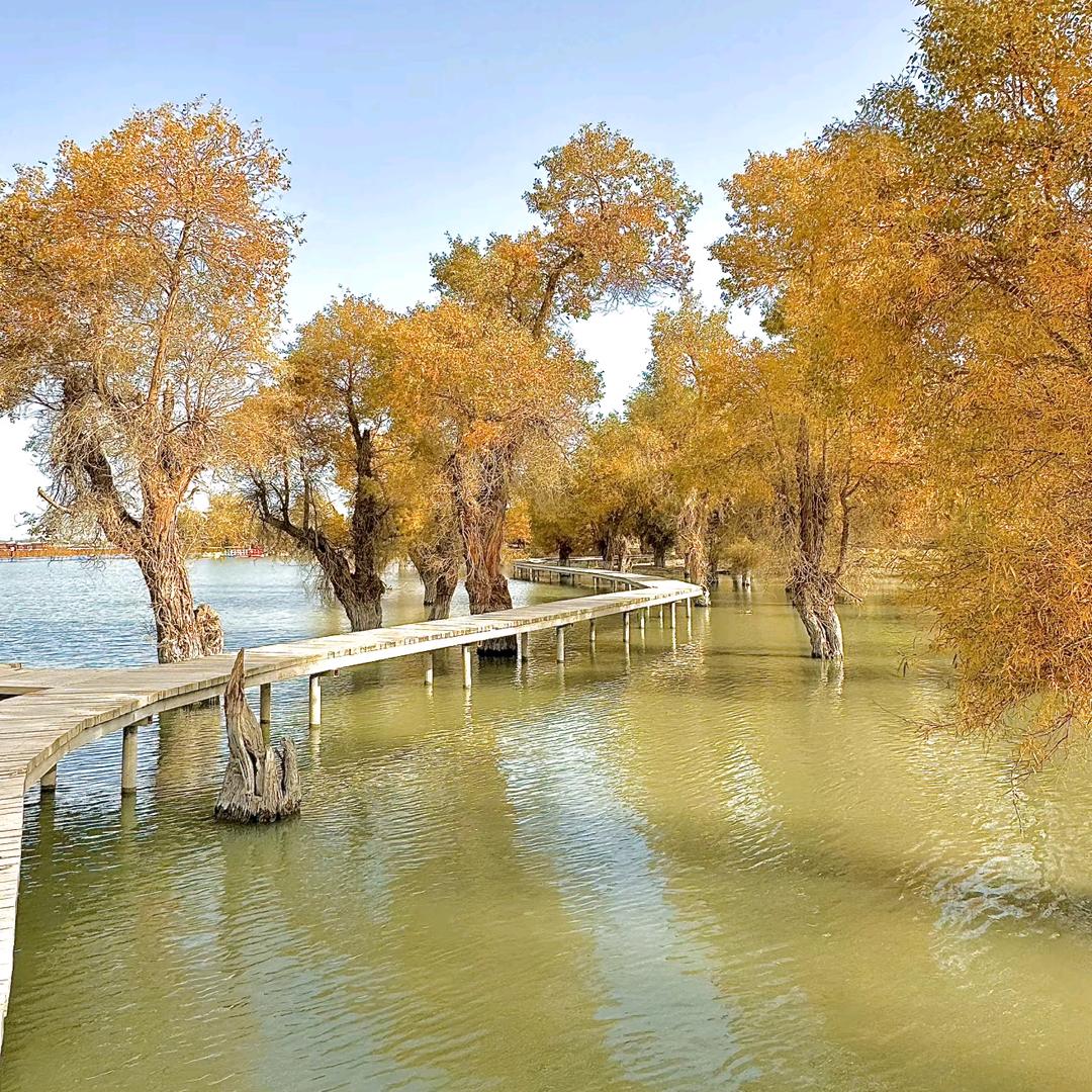 ღ᭄ꫛ敖💓꧔ꦿ᭄