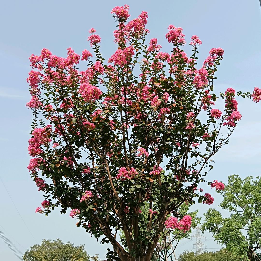 伤感音乐分享