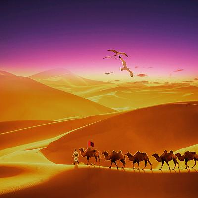 🐪西域骆驼🐪