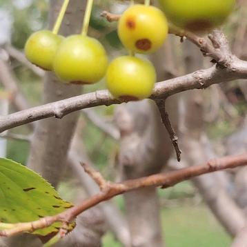 如我是钻💎🎨