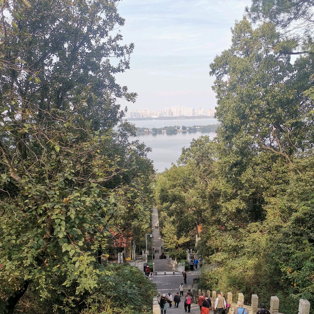 小林哥