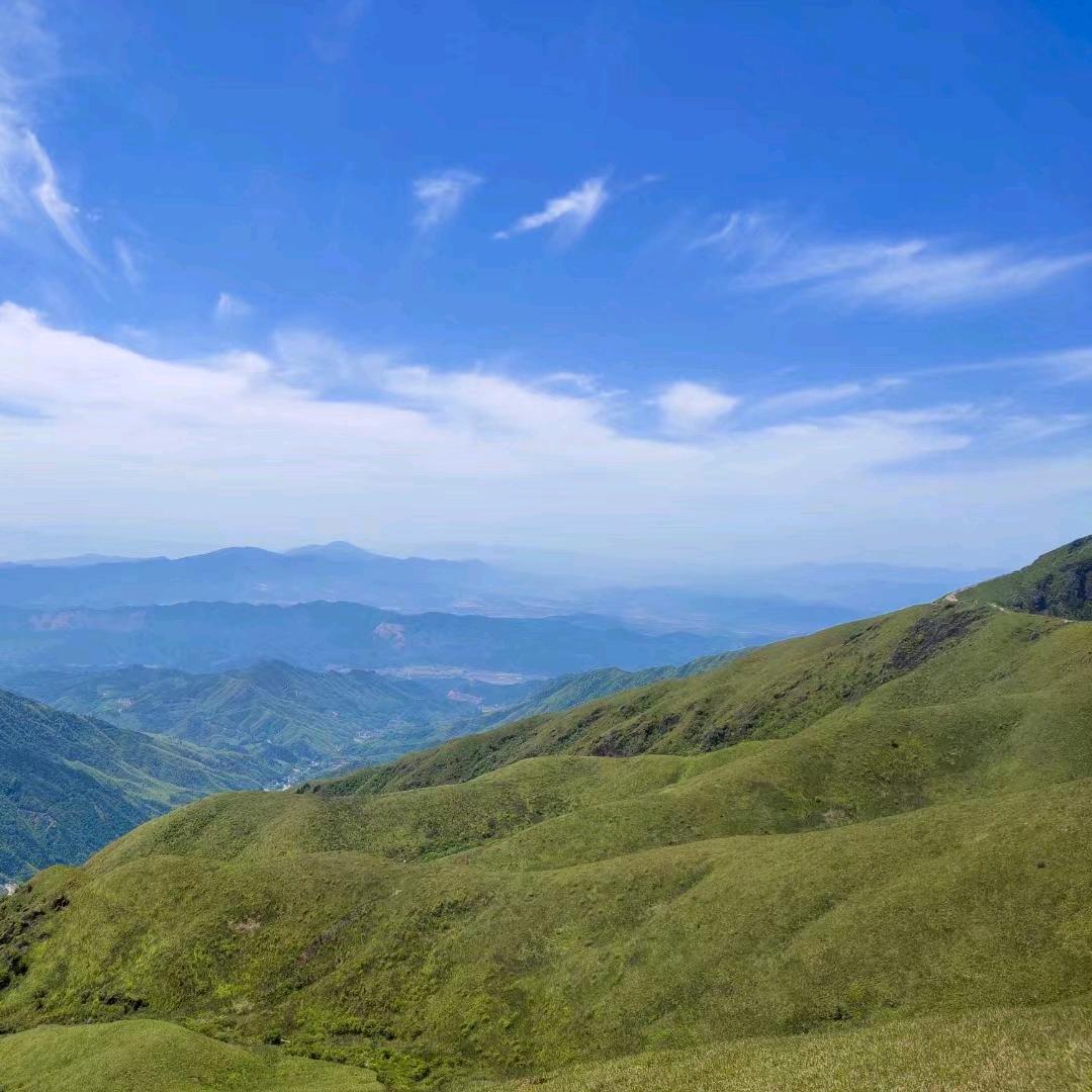 贝拉山里收山货