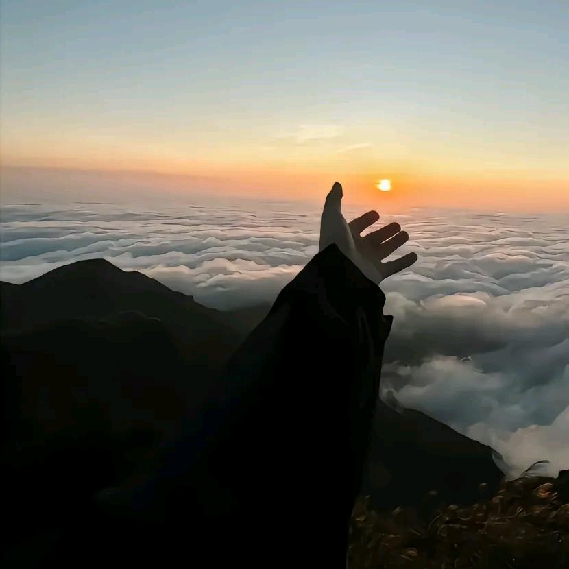 节节上升🔝