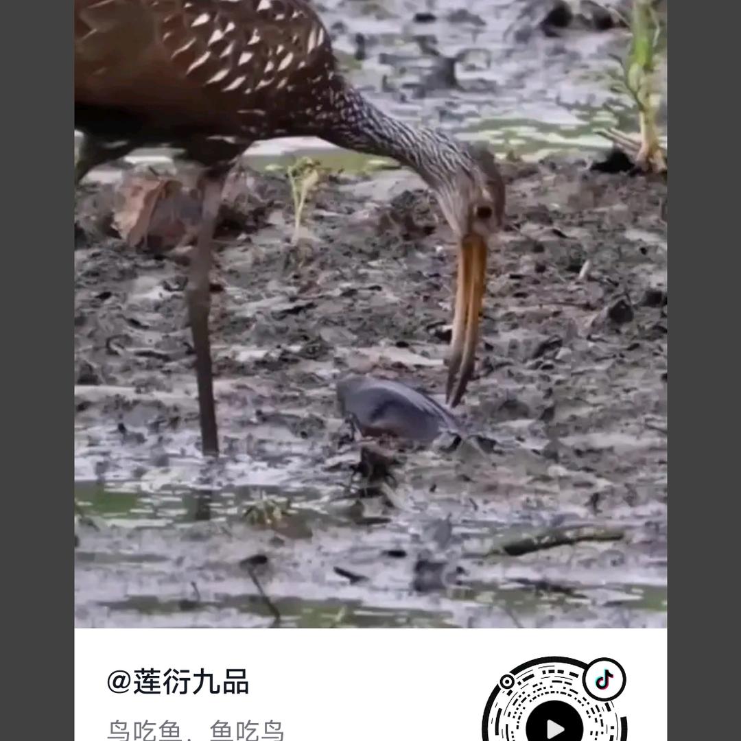 用户57083506692