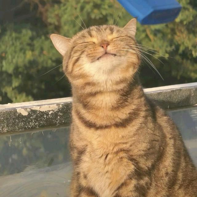 性感母蟑螂发疯猛抽185男大嫩臀🌟