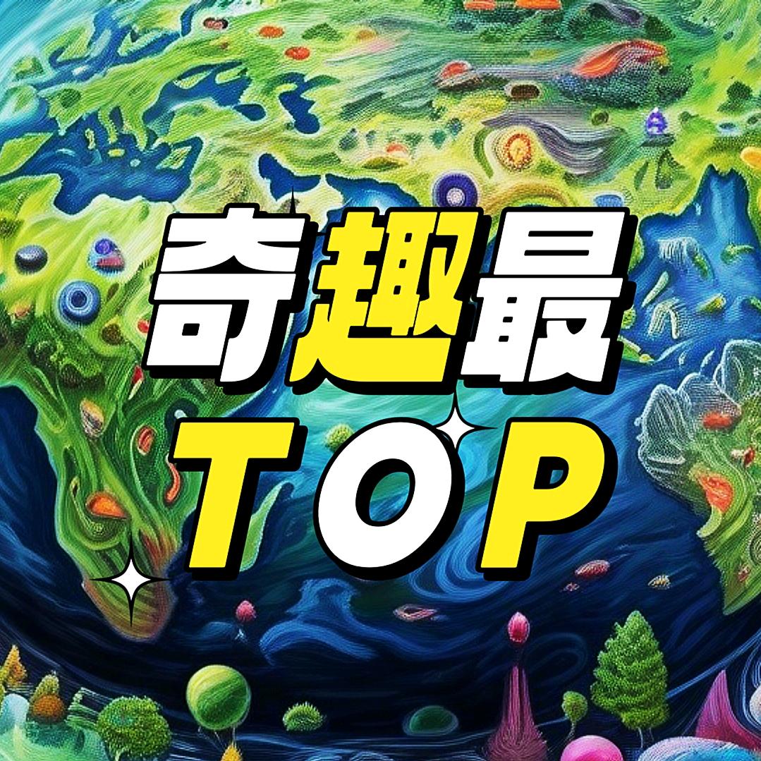 奇趣最TOP